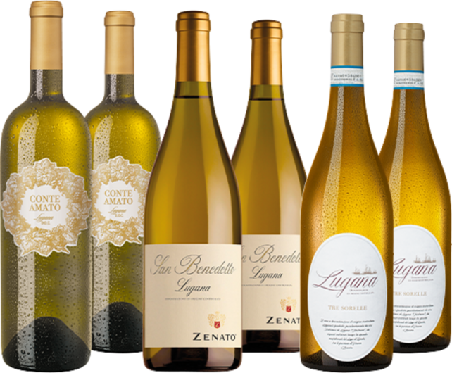 Lugana Bestseller im Paket