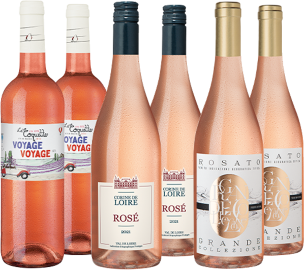 Rosé-Empfehlungen