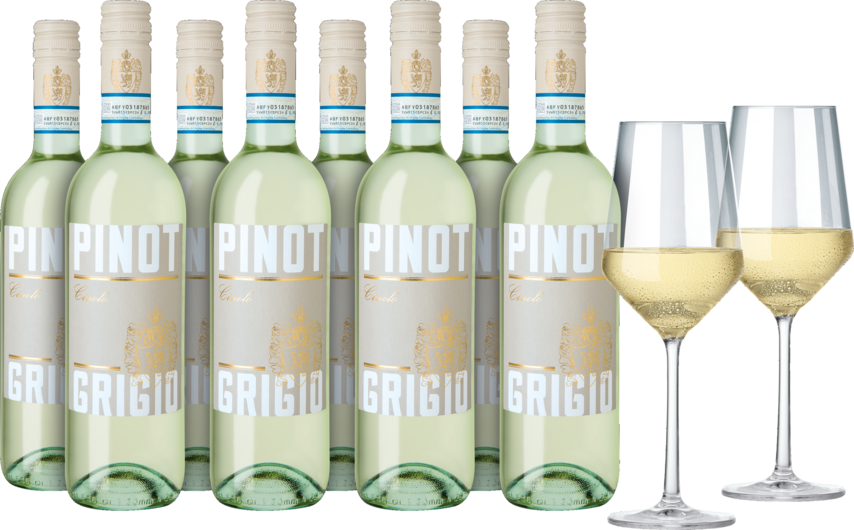 2022 Vorteilspaket Cinolo Pinot Grigio