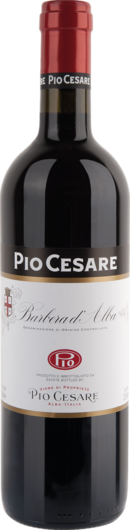 2021 Pio Cesare Barbera d'Alba