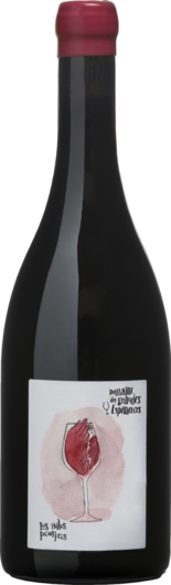 2014 Les Ailes Pourpres Cabernet Franc