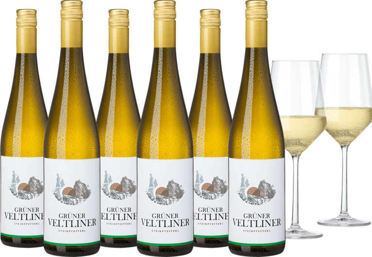 2023 Vorteilspaket Steinpfefferl Grüner Veltliner