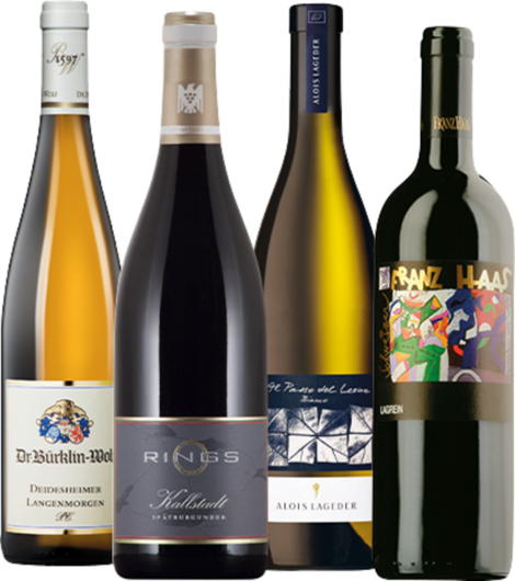 Podcast-Paket "Weinwanderung mit Claudia Berg"