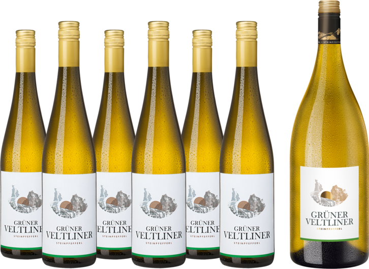 Vorteilspaket Steinpfefferl Grüner Veltliner