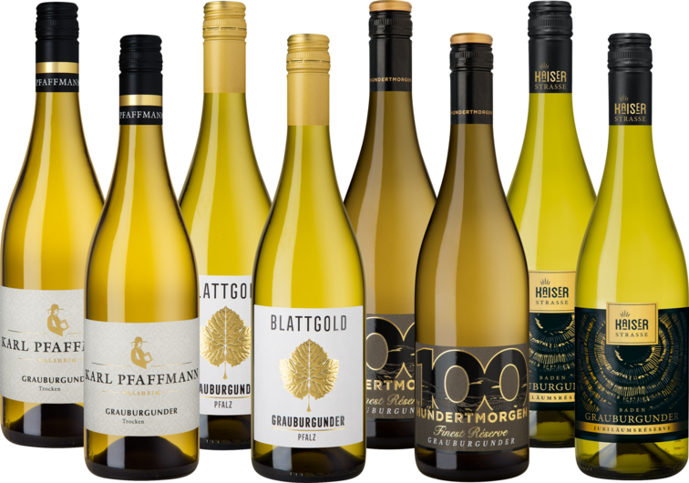 Entdecker Paket "Grauburgunder"