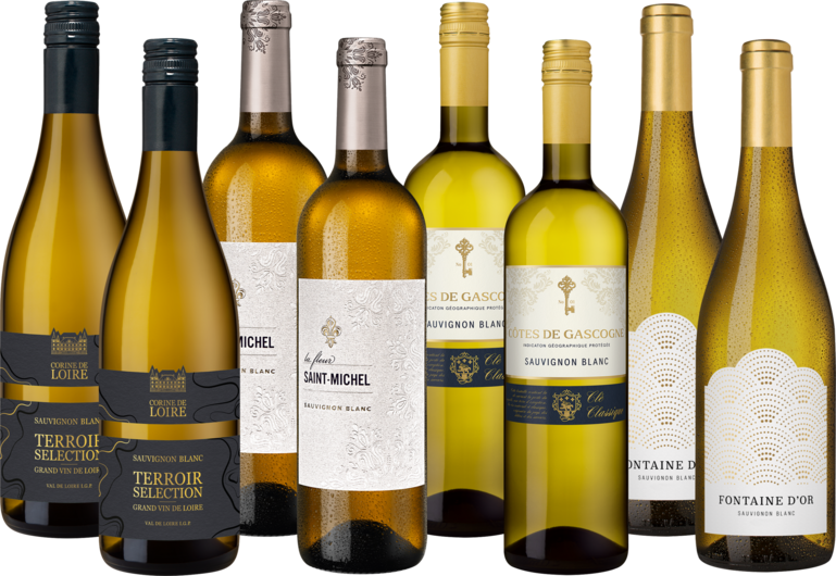 Entdecker Paket "Frische Sauvignon Blancs"