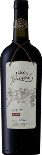 2021 Jorge Rubio Finca Gabriel Merlot Roble