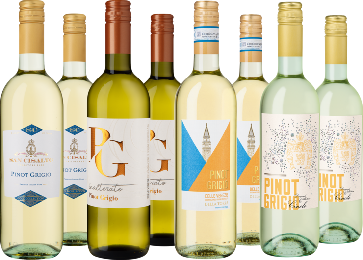 Entdeckerpaket Pinot Grigio