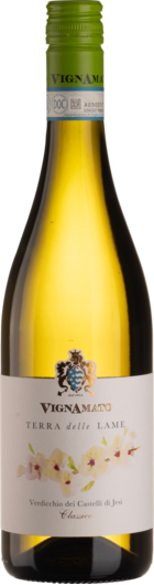 2023 Vignamato Terra delle Lame Verdicchio