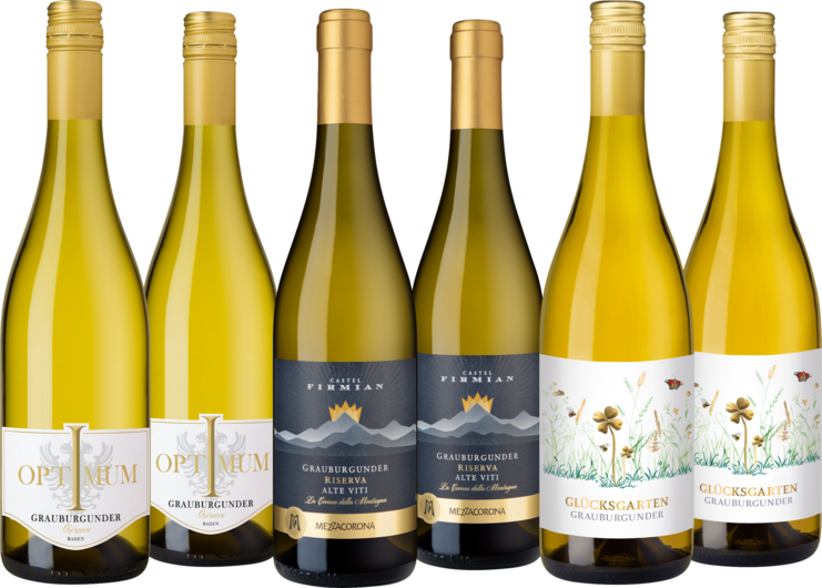 Grauburgunder-Highlights im Paket