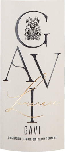 2023 Luminara Gavi