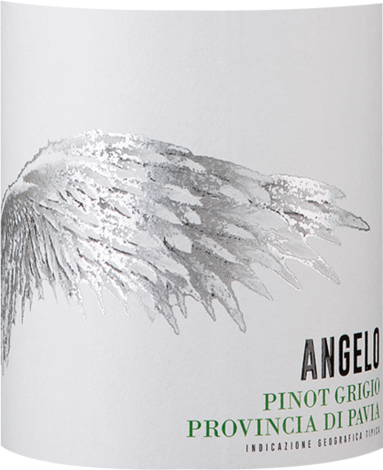 2023 Angelo Pinot Grigio