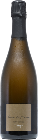 2013 Cava Terra de Marca Vintage