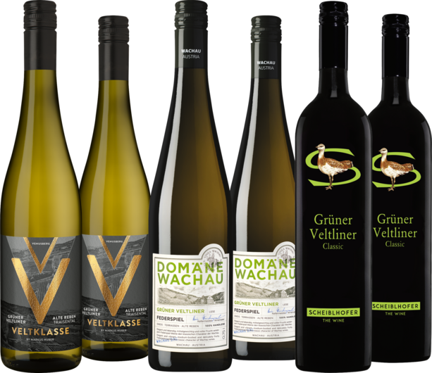Grüner Veltliner Entdeckerpaket