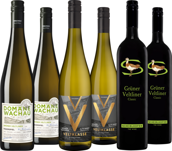 Vorteilspaket Grüner Veltliner