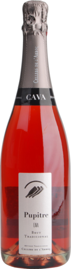 Castell D Or Sl Pupitre Rosé