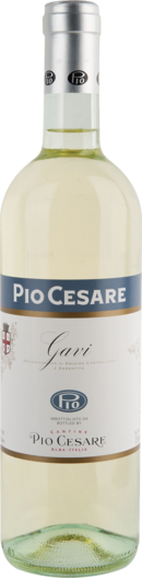 2023 Pio Cesare Gavi