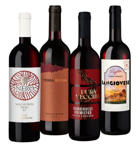 Probierpaket "Bestes Weingut Italiens" 2024