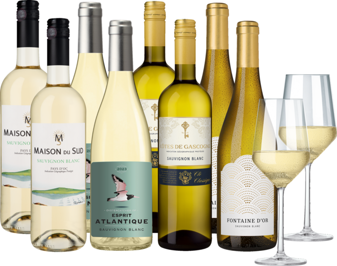 Weinpaket "Frankreichs feine Sauvignon Blancs"