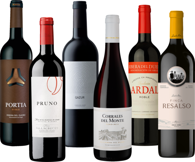Entdeckerpaket Ribera del Duero