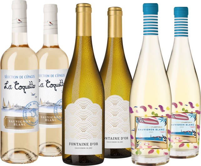Entdeckerpaket Französische Sauvignon Blanc