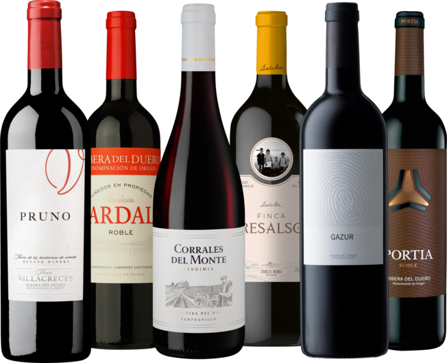 Entdeckerpaket Ribera del Duero