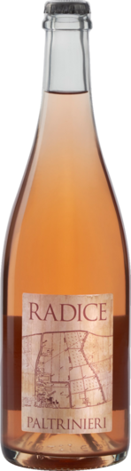 2023 Radice Lambrusco