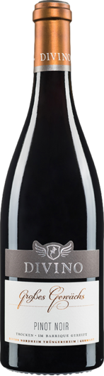 2018 Divino Pinot Noir GG