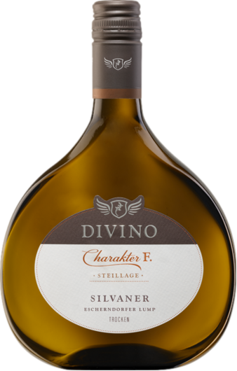 2022 Escherndorfer Lump Silvaner Steillage