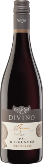 2021 Terroir Escherndorfer Fürstenberg Spätburgunder