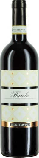 2020 Terre da Vino Barolo