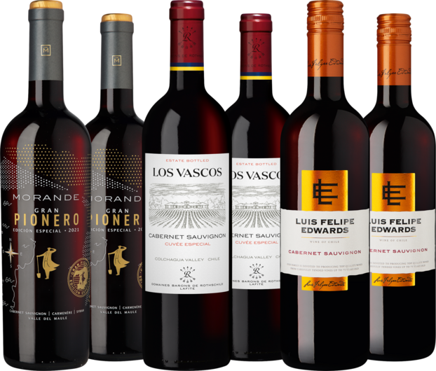 Weinpaket "Eine Reise durch Chile"