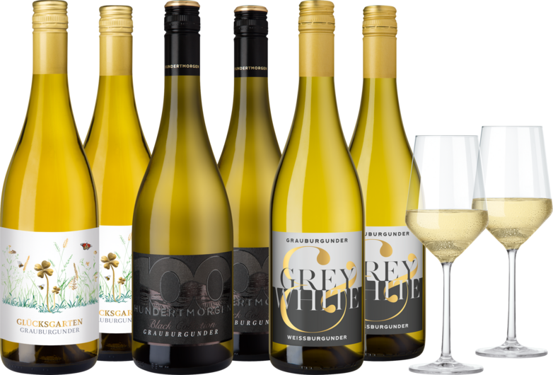Weinpaket Grauburgunder Highlights