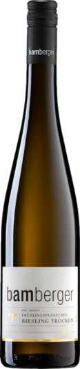 2021 Monzinger Frühlingsplätzchen Riesling