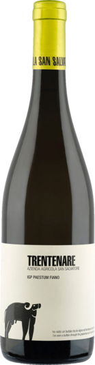 2024 San Salvatore Trentenare Fiano