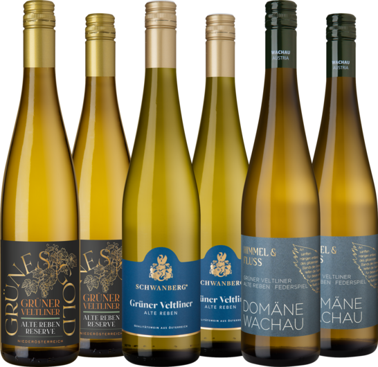 Entdeckerpaket "Grüner Veltliner"
