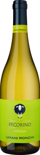 2024 Vellodoro Pecorino