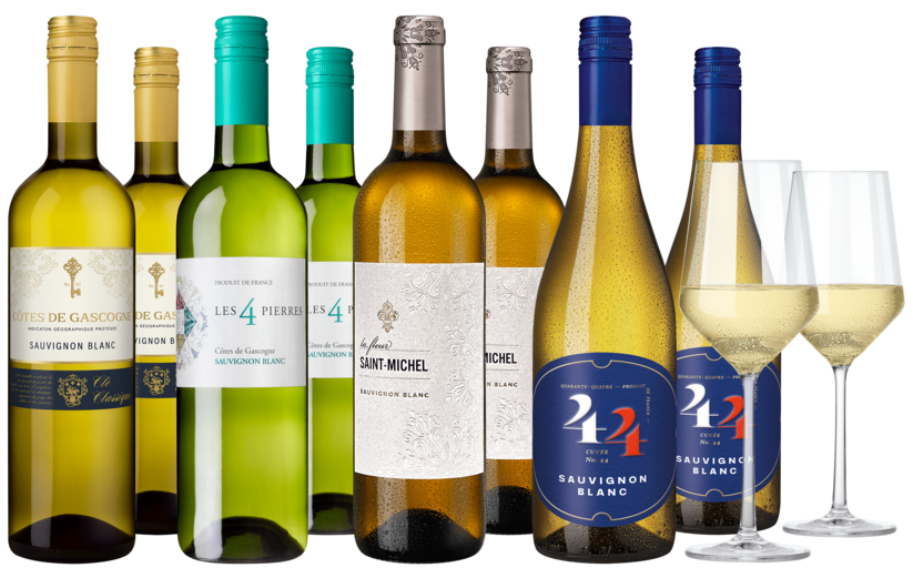 Weinpaket Frankreichs fabelhafte Sauvignon Blancs