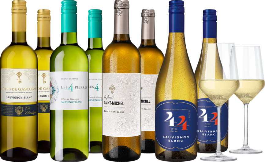 Weinpaket Frankreichs fabelhafte Sauvignon Blancs