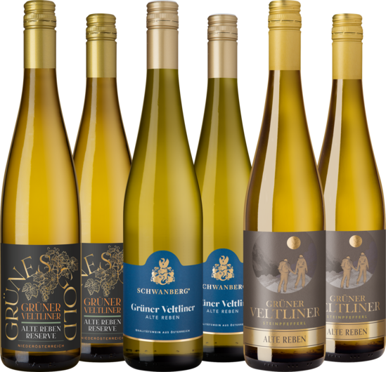 Weinpaket "Grüner Veltliner Alte Reben"