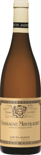 2023 Chassagne Montrachet