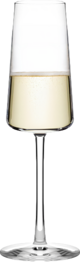 Stölzle Champagnerglas