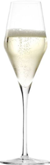 Stölzle Champagnerglas