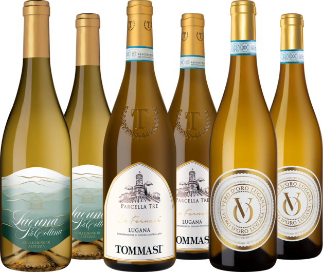 Entdeckerpaket "Lugana-Vielfalt"