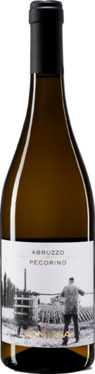 2023 Contesa Abrzuzzo Pecorino