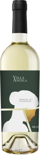 2024 Velenosi Villa Angela