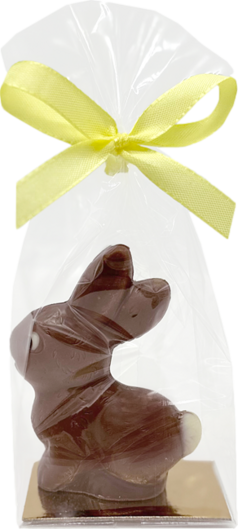 Gmeiner Kleiner Schokoladenhase