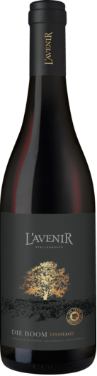 2024 L'Avenir Die Boom Pinotage