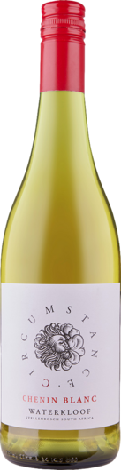 2023 Waterkloof Circumstance Chenin Blanc