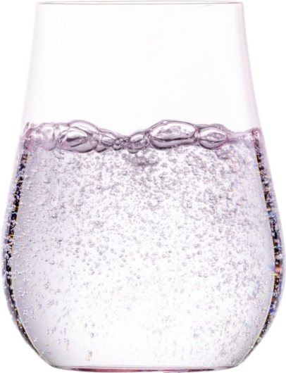 Zwiesel Allround Tumbler